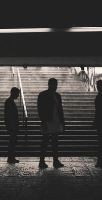 Foto de Crowning Animals