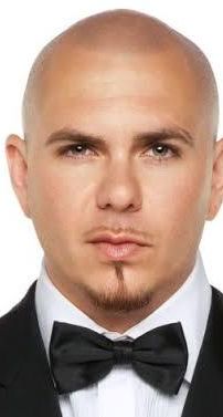 Foto de Pitbull