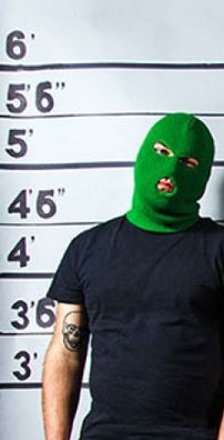 Foto de Masked Intruder