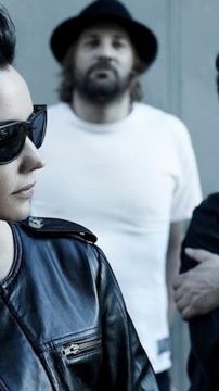 Foto de Baby Animals