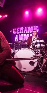 Foto de Ceramic Animal 