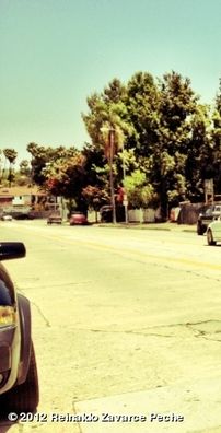 Foto de Reinaldo Zavarce