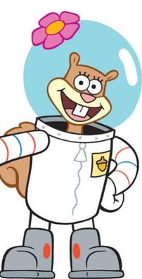 Foto de Sandy Bochechas