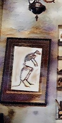 Foto de El Mister y los Marsupiales Extintos