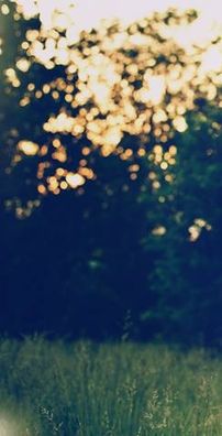 Foto de Matty Mullins