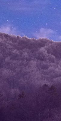 Foto de Mestre Jonaz