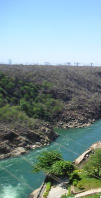 Foto de Ropiario Junior