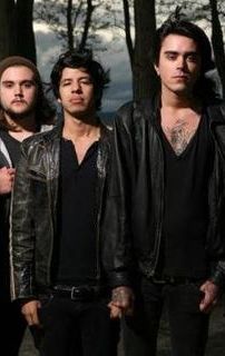 Foto de Lions!Tigers!Bears!