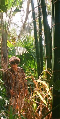 Foto de Ulysses Manso