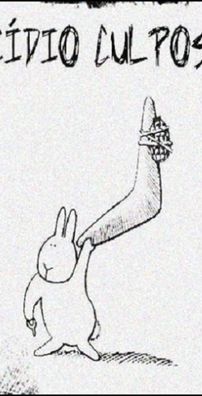 Foto de Suicídio Culposo