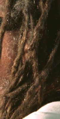 Foto de Nengo Vieira