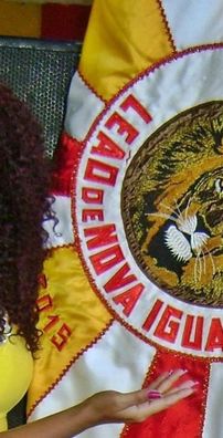 Foto de Leão de Nova Iguaçú