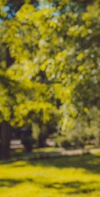 Foto de Diego Muñoz