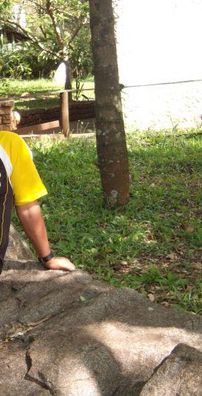 Foto de Jura Dos Teclados