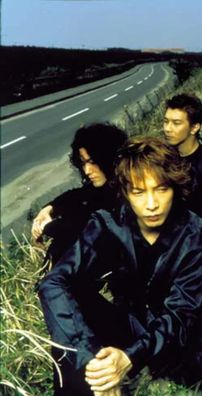 Foto de Zeppet Store