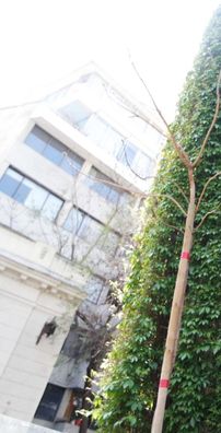 Foto de Benjamín Duran