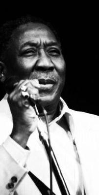 Foto de Muddy Waters