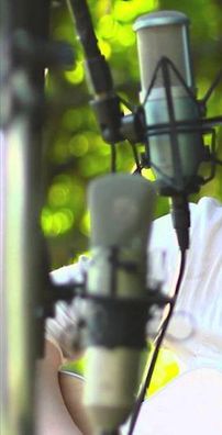 Foto de Amanda Rodrigues