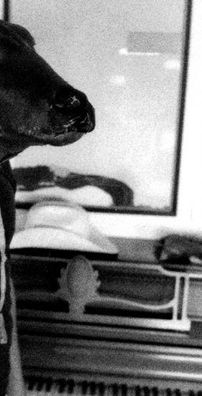 Foto de Shakey Graves