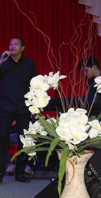 Foto de Ministério Excelsior da Adoração