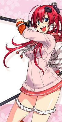 Foto de Hyakka Ryouran Samurai Girls