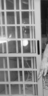 Foto de Marcos Silverado