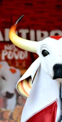 Foto de Boi Garantido