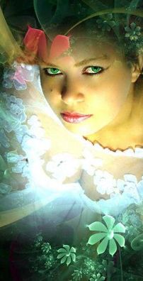 Foto de Band The Nexts