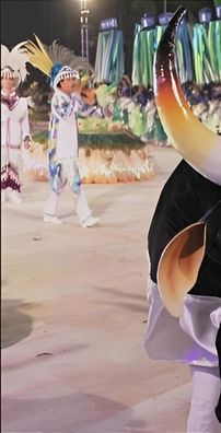 Foto de Boi Malhadinho