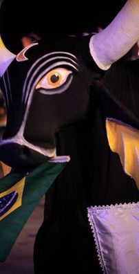 Foto de Boi Malhadinho