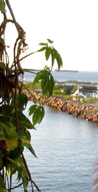 Foto de Dick Serafim