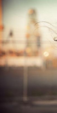 Foto de Emilie Simon