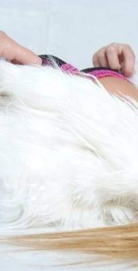 Foto de Daniela Pimenta