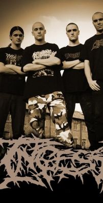 Foto de Ingested