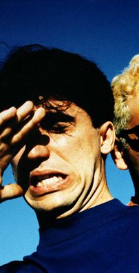 Foto de Little Quail