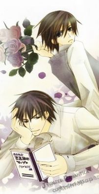 Foto de Junjou Romantica
