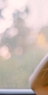 Foto de Melody's Echo Chamber