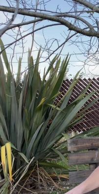 Foto de Lautaro Naim