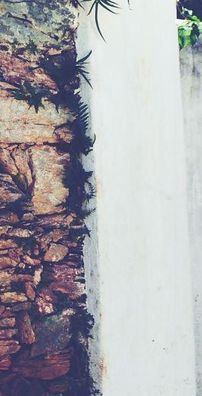 Foto de Mayara Magalhães