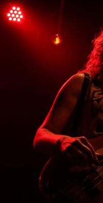 Foto de Vinociraptor