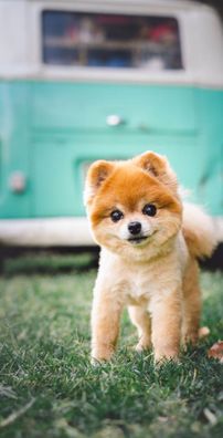 Foto de Outro Saculejo