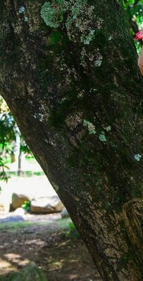 Foto de Karla Gadelha