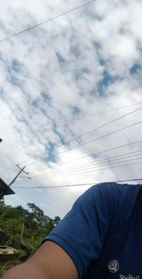 Foto de Edyson Schmetterling