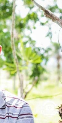 Foto de Luckas Santthos