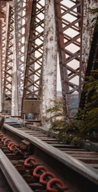 Foto de Guilherme de Oliveira