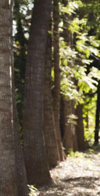 Foto de Betinho (Católico)