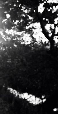 Foto de Millane Hora