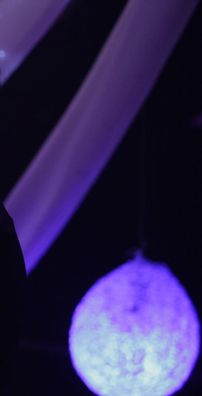 Foto de Kamila França