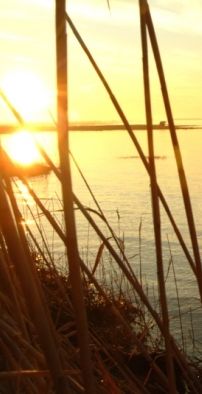 Foto de The Early Hours