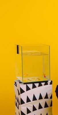 Foto de Andrew Mcmahon